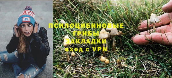 гидропоника Алексин