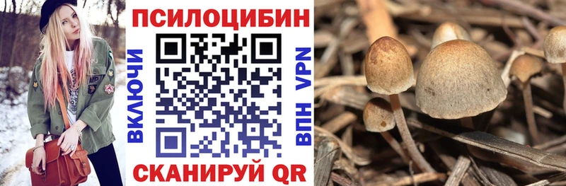 Псилоцибиновые грибы Magic Shrooms  где купить наркоту  Игра 